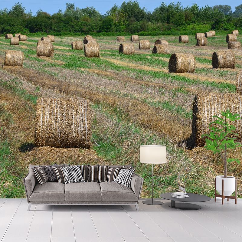 Dry Straw Bales Mural Horizontal Photography Eco-friendly for Decoration