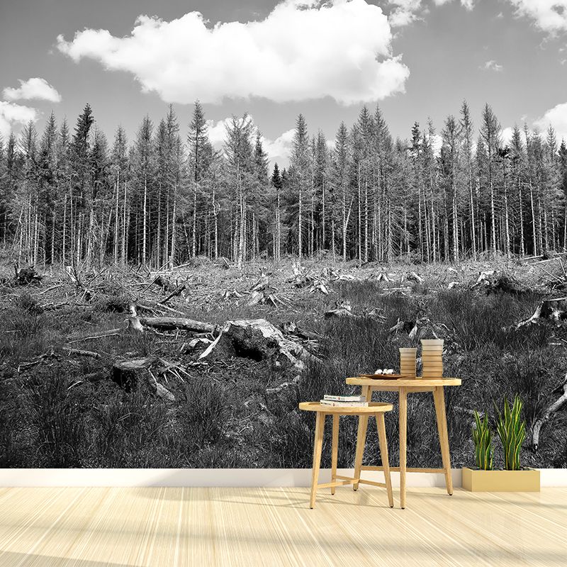 Dining Room Customized Decorative Murals Forest Wall Murals Wallpaper