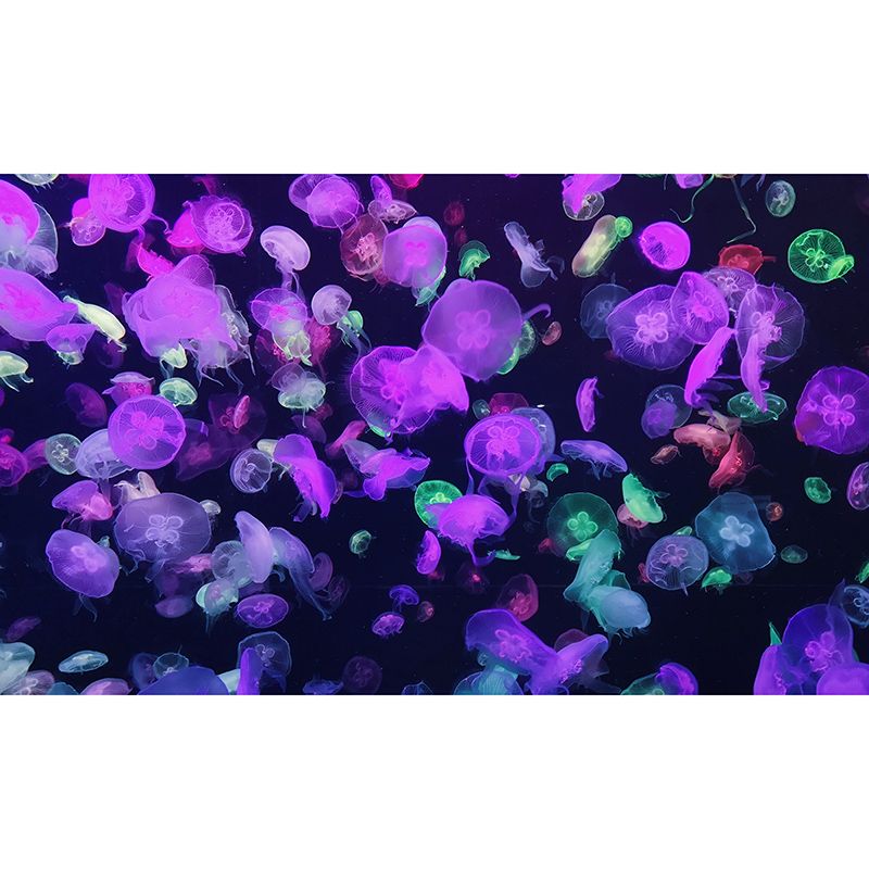 Rich Marine Life Wall Mural Decal for Sitting Room Bedroom, Made to Measure