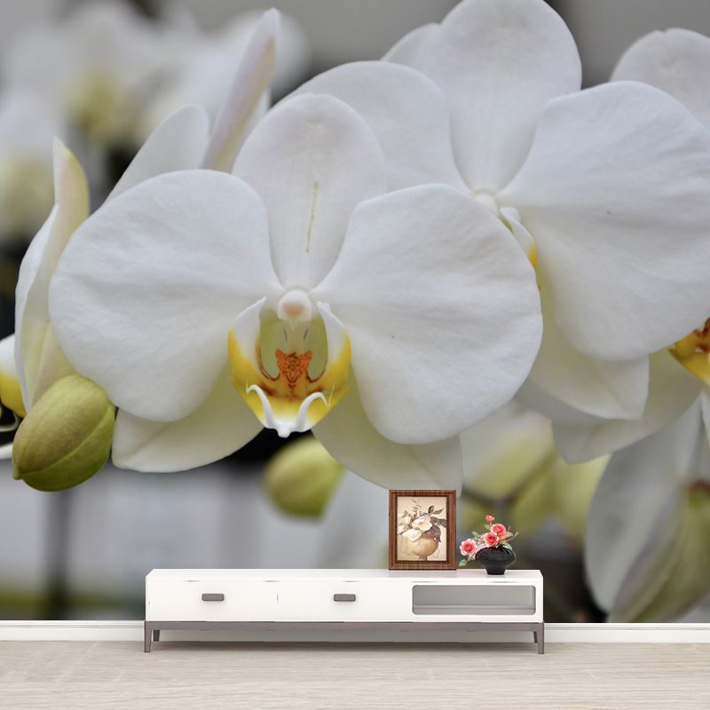 Beautiful Orchid Mural Stain Resistant Wall Covering for Sleeping Room