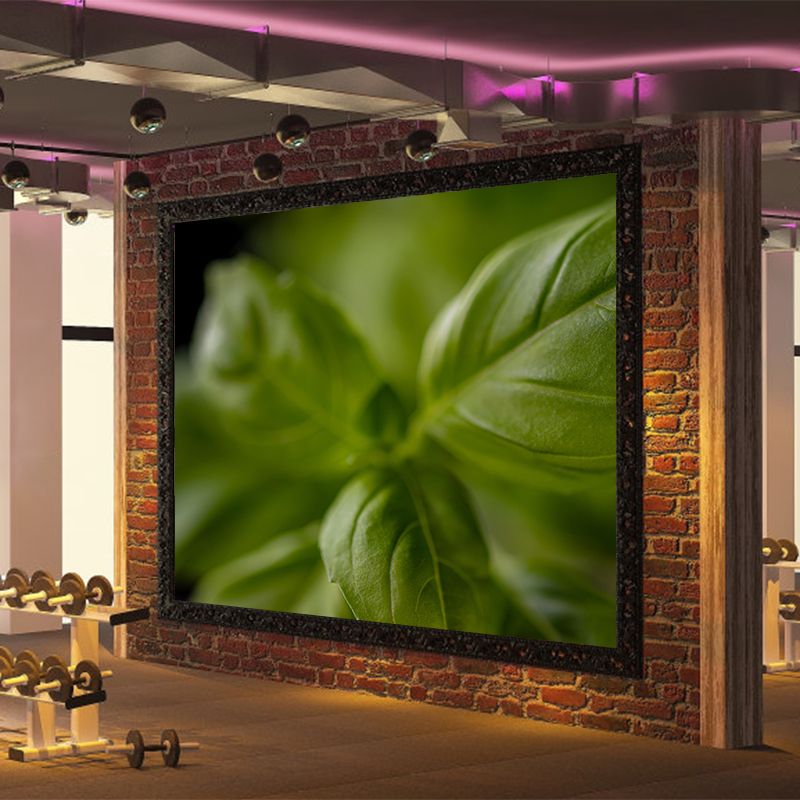 Basil Leaf Painting Mural Decal Modern Mildew Resistant Wall Covering for Decoration