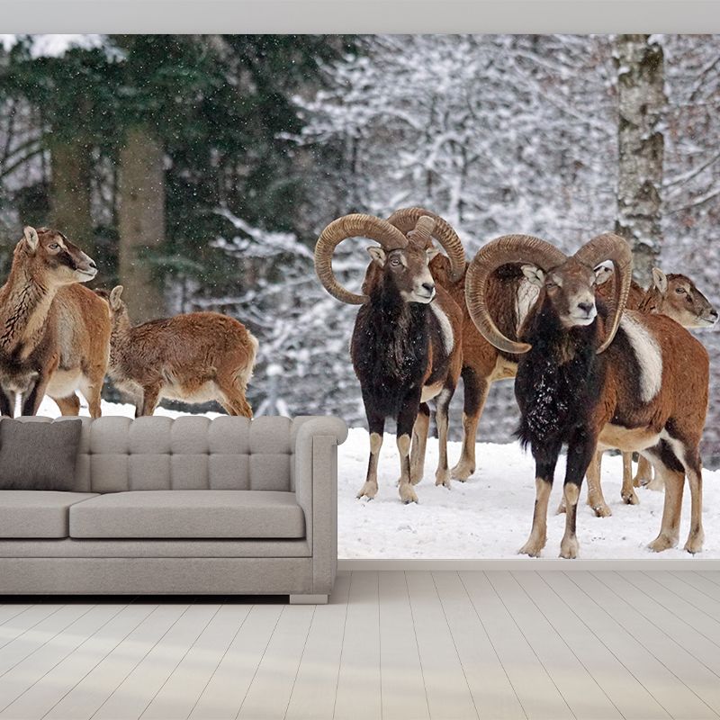 Modern Ovis Musimon Mural Wall Decor Mildew Resistant Living Room Wall Mural for Wall Decor