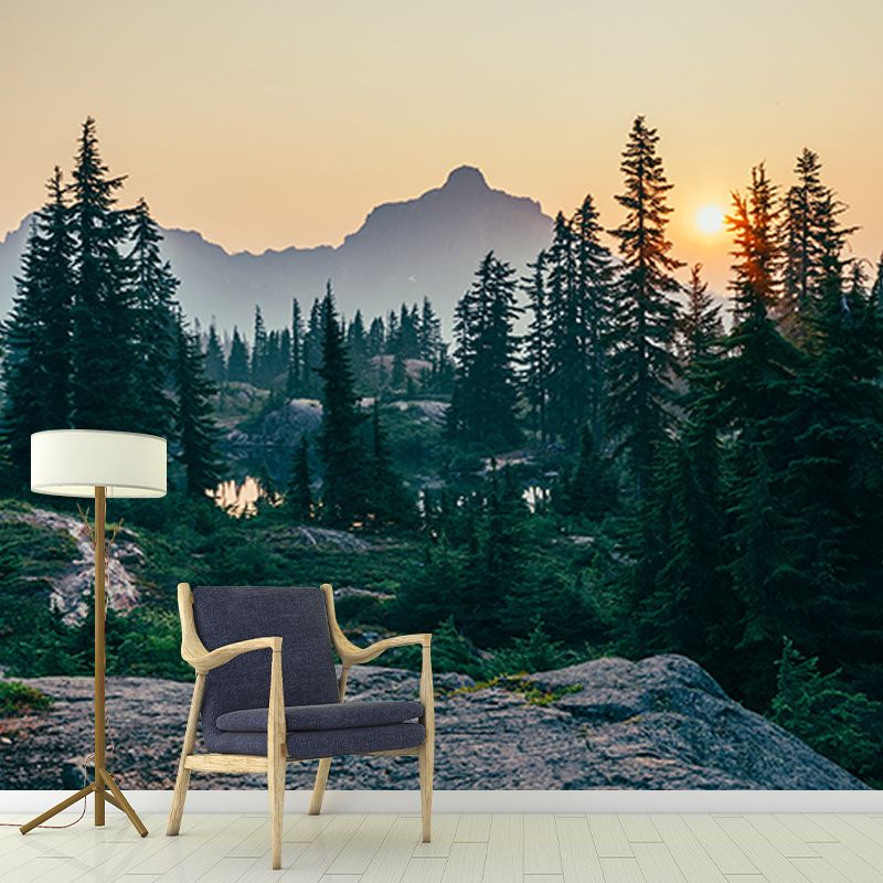 Photography Wall Mural Wallpaper Quiet Forest Sitting Room Wall Mural