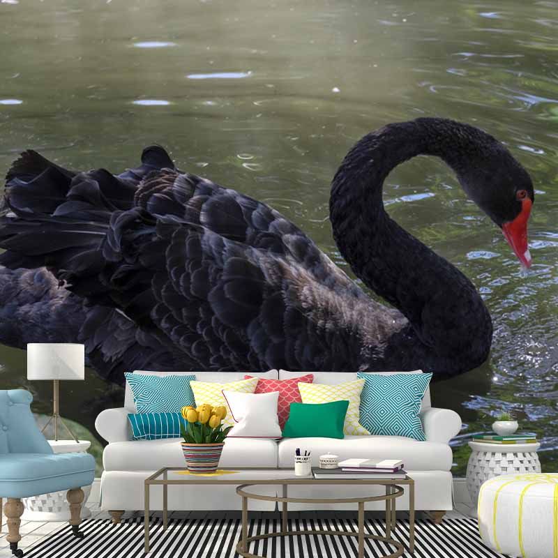 Photography Black Swan Wall Mural Decorative Mildew Resistant for Living Room
