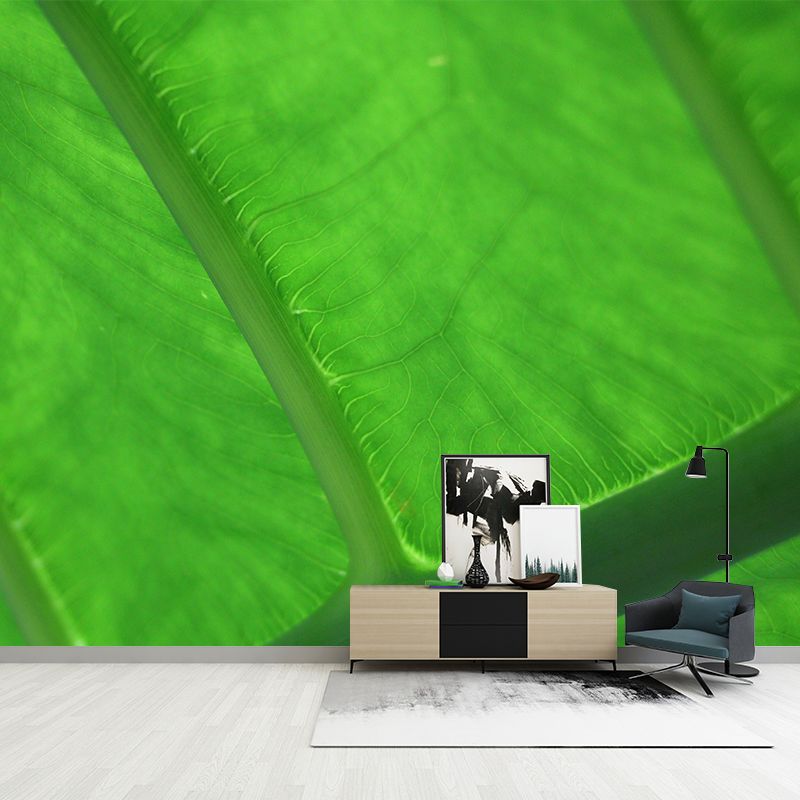 Plant Mural Wallpaper Leaf Surface Pattern for Reading Room Bedroom Decor