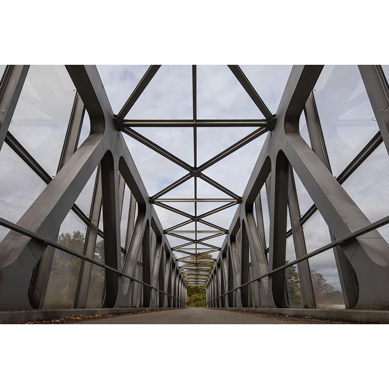 Forest Wooden Mural Wallpaper Industrial Style Space Extension Mural Wall Art