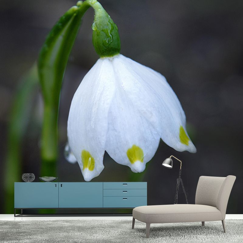 Contemporary Marzenbecher Flower Mural Soft Color Stain Resistant Wall Art