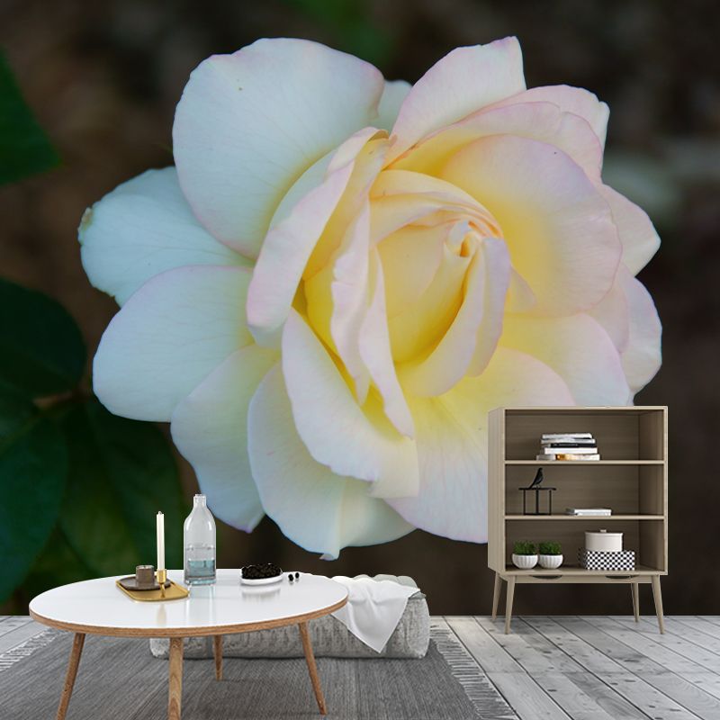 Rose Contemporary Mural Decal Sitting Room Moisture Resistant Wall Decor