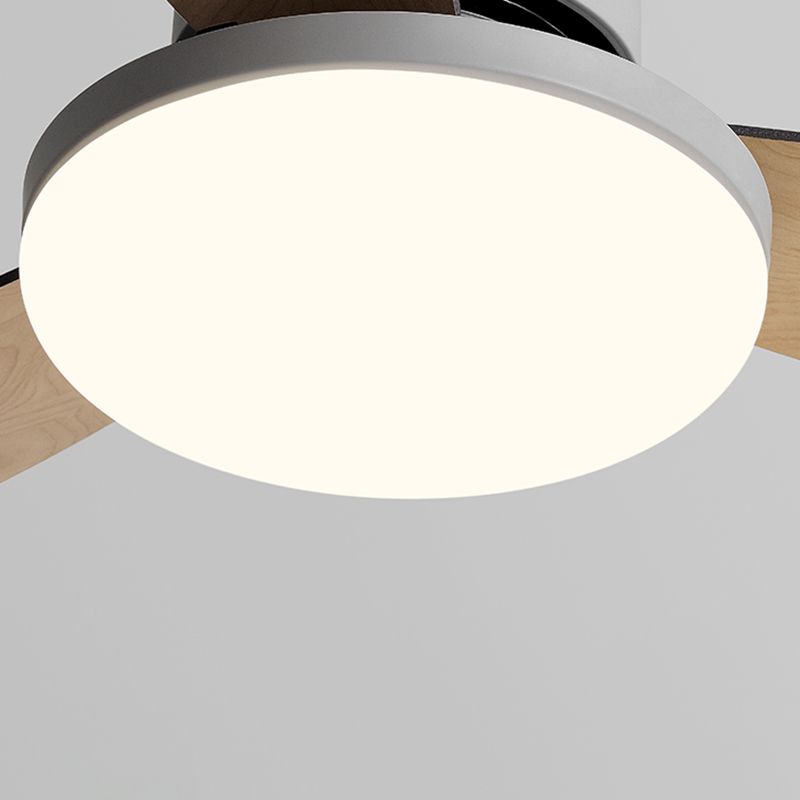Unique Shape Ceiling Fan Lighting Kids Style Metal Single Light Ceiling Fan Lamp