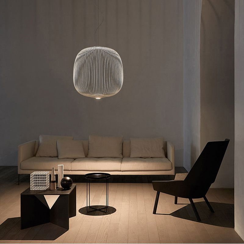 Simple Metal Hanging Light, Globe and Cage Shade 2-Light Hanging Lighting