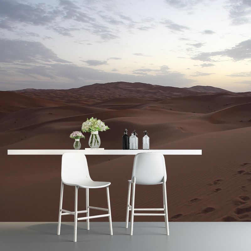 Desert Mural Wallpaper Horizontal Photography Style for Guest Room Decor