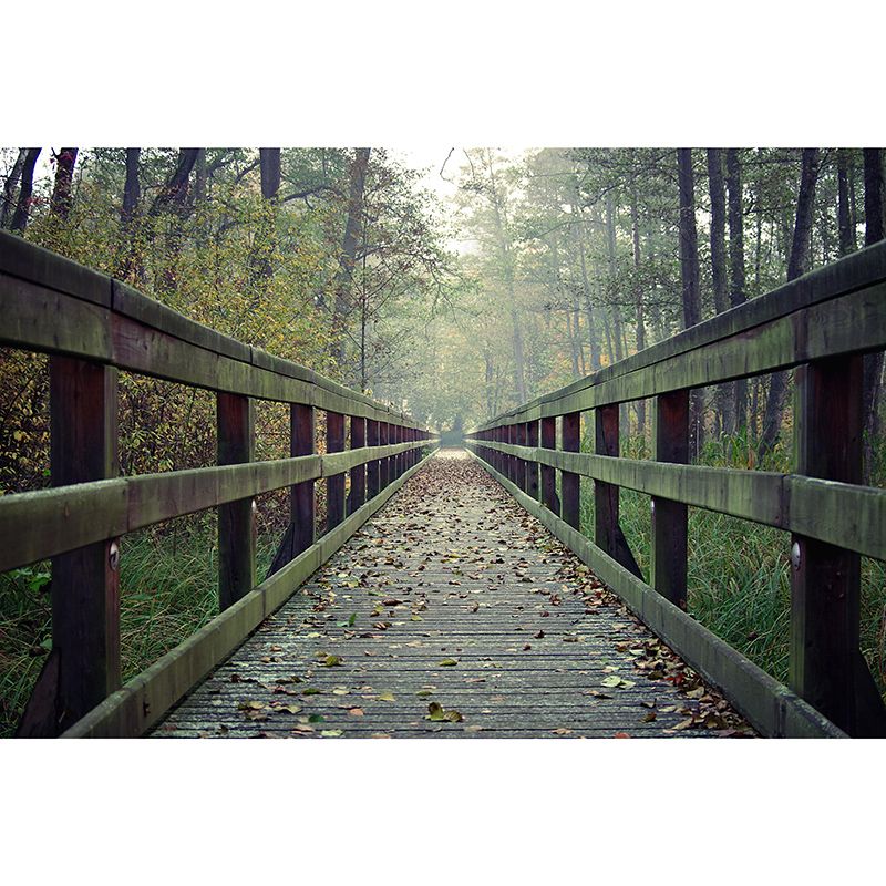Wooden Bridge Environment Friendly Wall Mural Industrial Style Space Extension Wall Mural