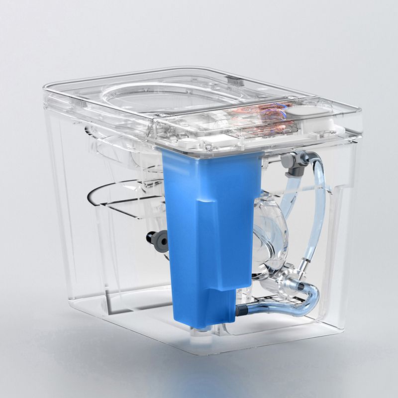 Modern Floor Mounted Flush Toilet Heated Seat Included Urine Toilet for Bathroom