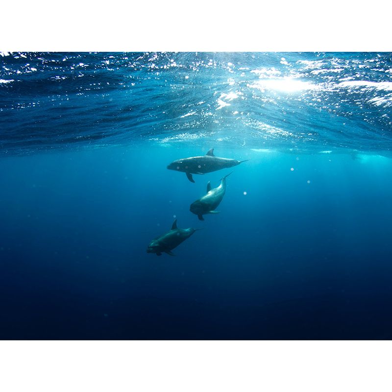 Environment Friendly Wall Mural Wallpaper Underwater Sitting Room Wall Mural