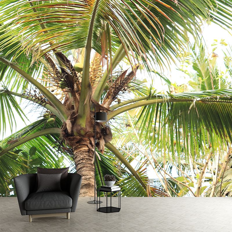Tropical Coconut Tree Wall Mural Decal Photography Water Resistant for Kitchen