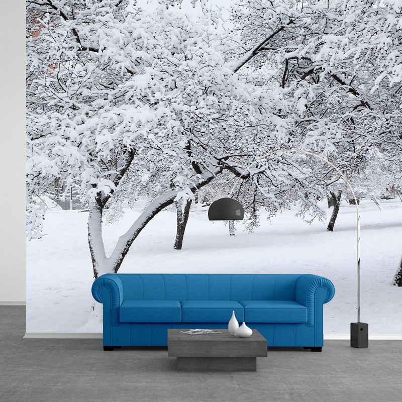 Contemporary Photography Style Forest Mural Wallpaper Mildew Resistant for Bedroom