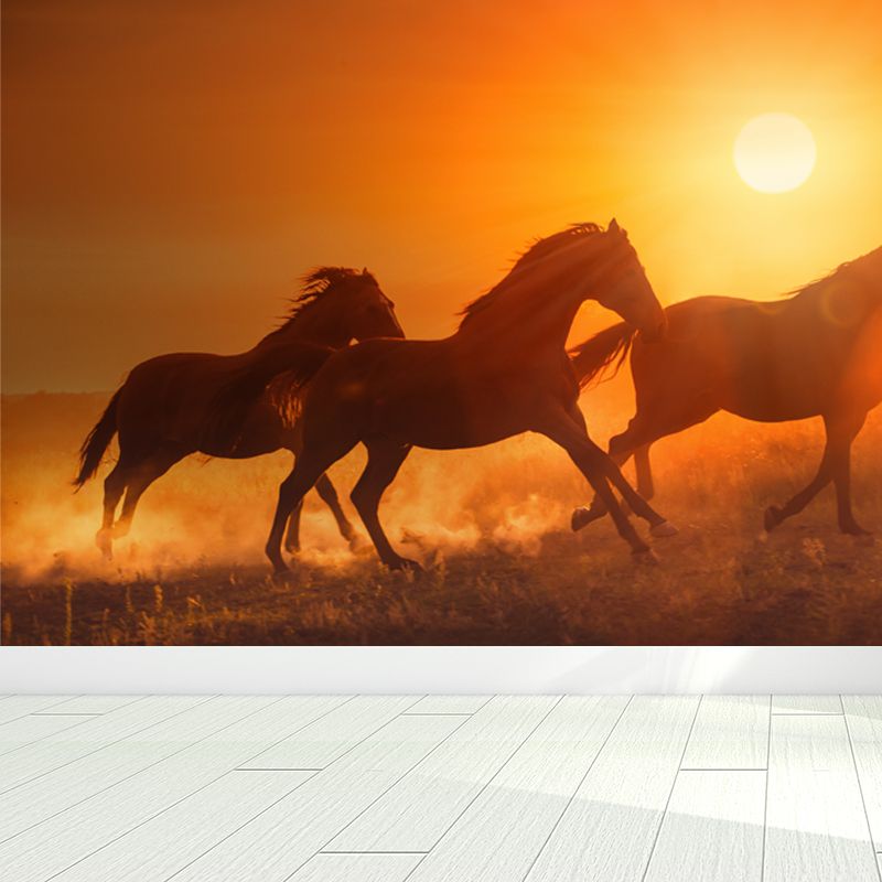 Running Horse and Sunset Mural Decal for Boys Bedroom Animals Wall Decor, Custom