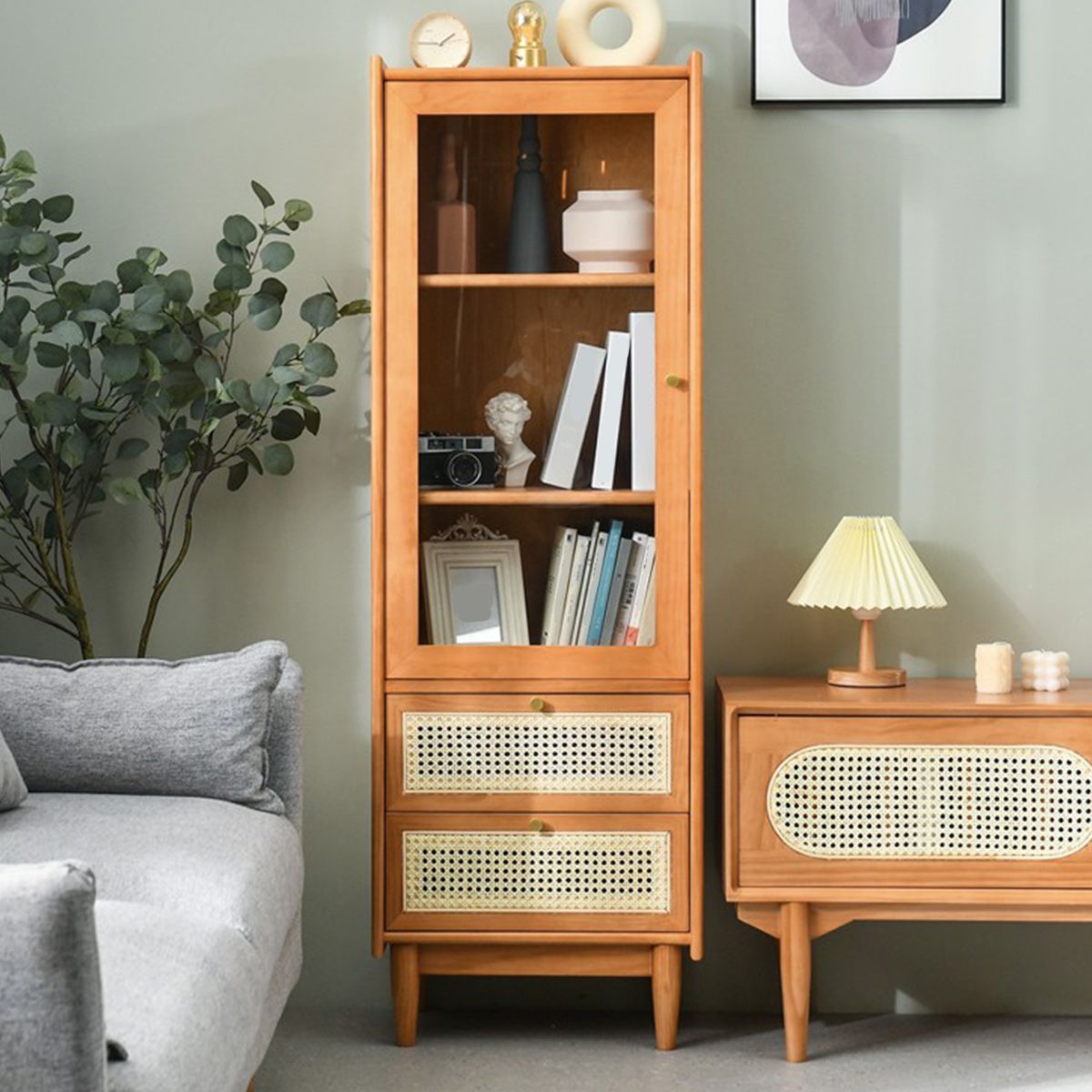 Stain Resistant Storage Cabinet Glass Paned Standard Cabinet