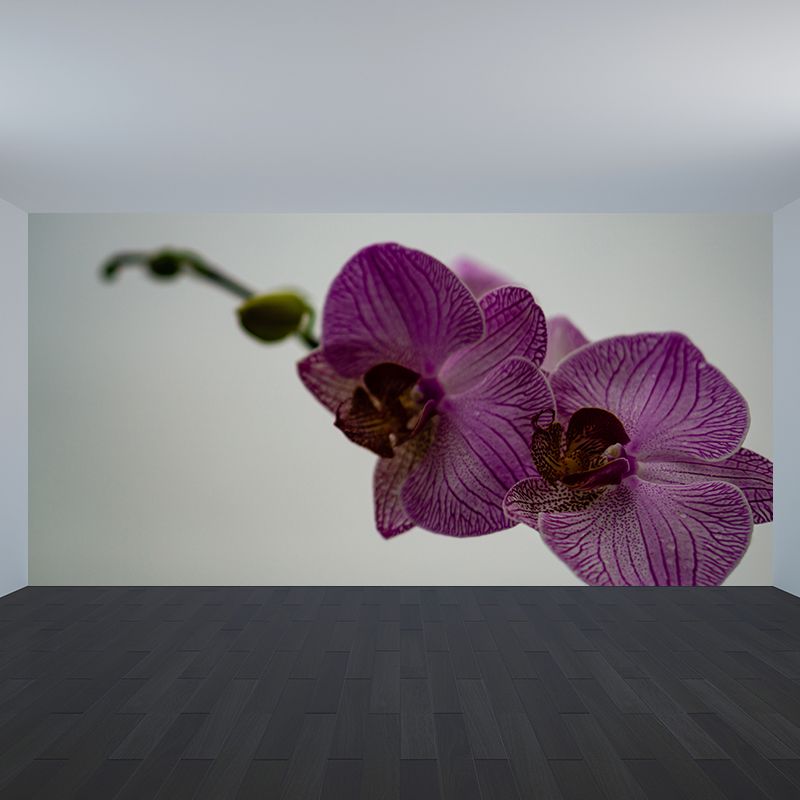 Modern Girl Room Decoration Orchid Mural Wallpaper, Custom Size Available