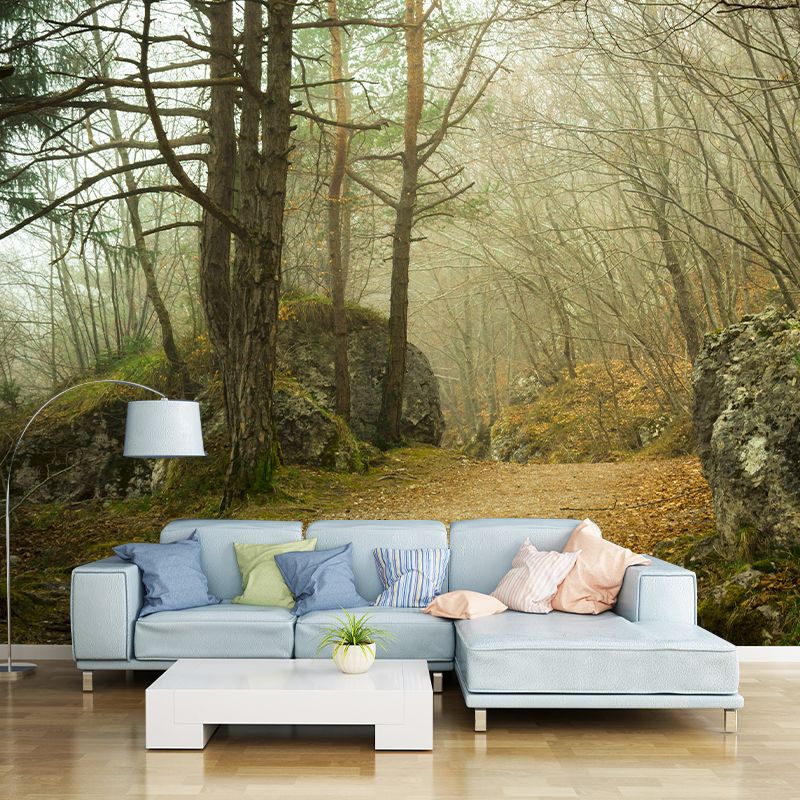 Photography Environmental Wallpaper Forest Living Room Mural Wallpaper