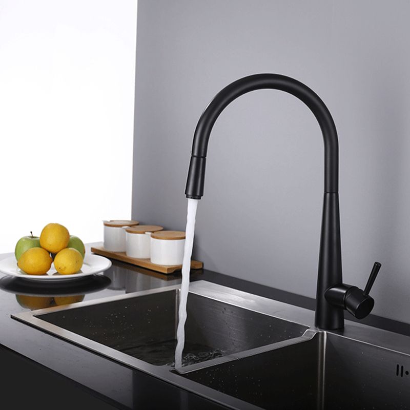Modern Pull Out One Handle Kitchen Faucet Low Profile Filler with Sprayer
