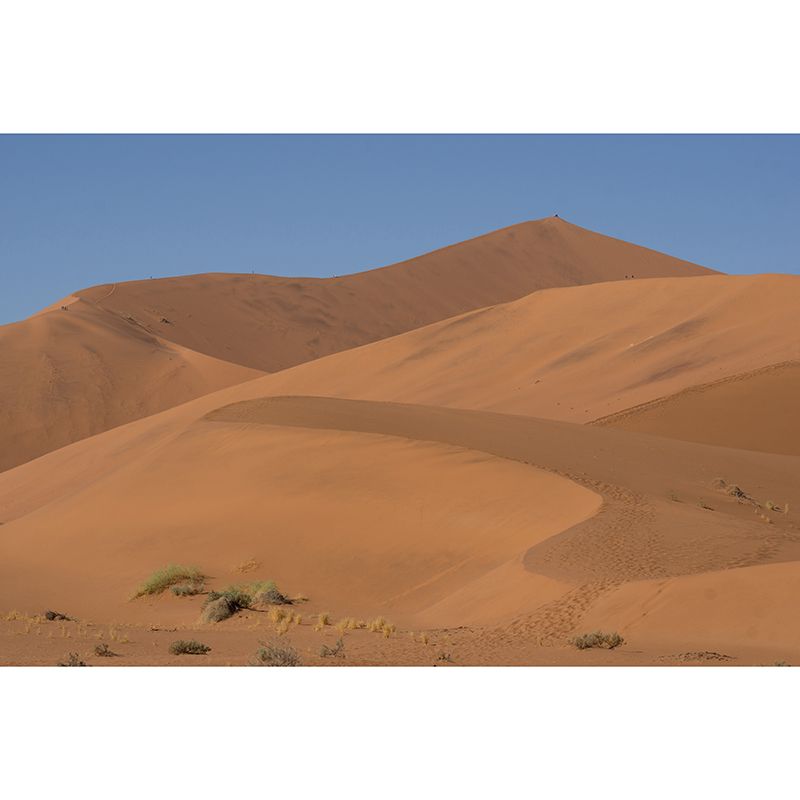 Dry Desert Mural Wallpaper Home Decor Water Resistant Wallpaper for Living Room
