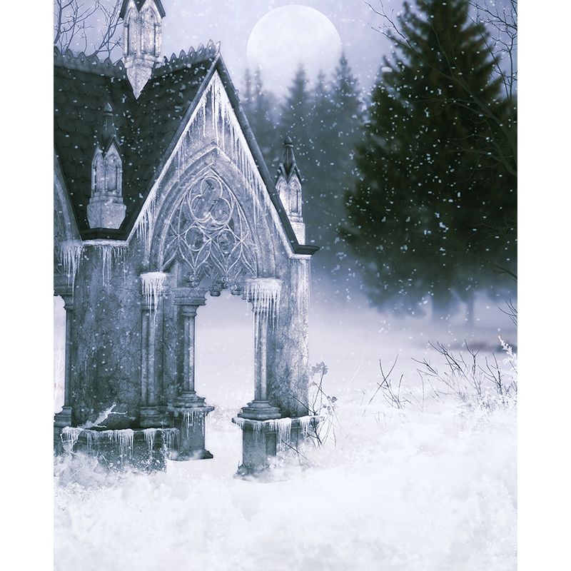 Contemporary Winter Building Wall Mural for Girls Bedroom Full Size Wall Covering in White