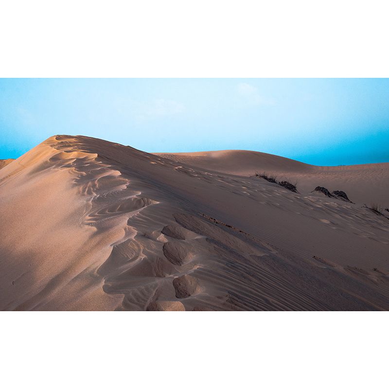 Tropical Desert Wall Covering for Sitting Room Water Resistant, Made to Measure