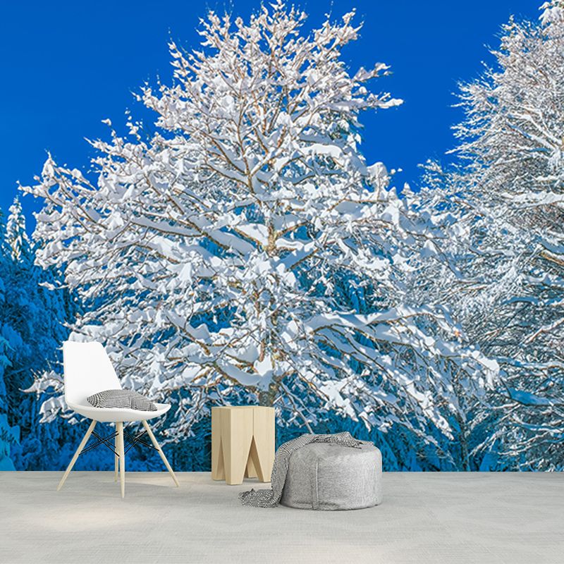 Modern Photography Mural Wallpaper Forest Scenery Indoor Wall Mural