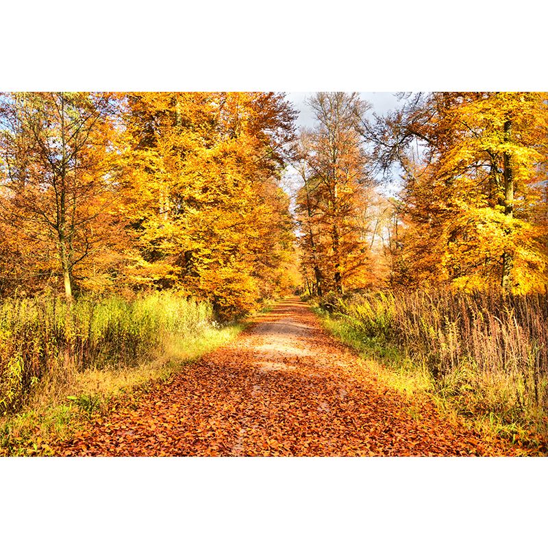 Forest Yellow Trees Customized Wall Covering for Sitting Room, Moisture Resistant