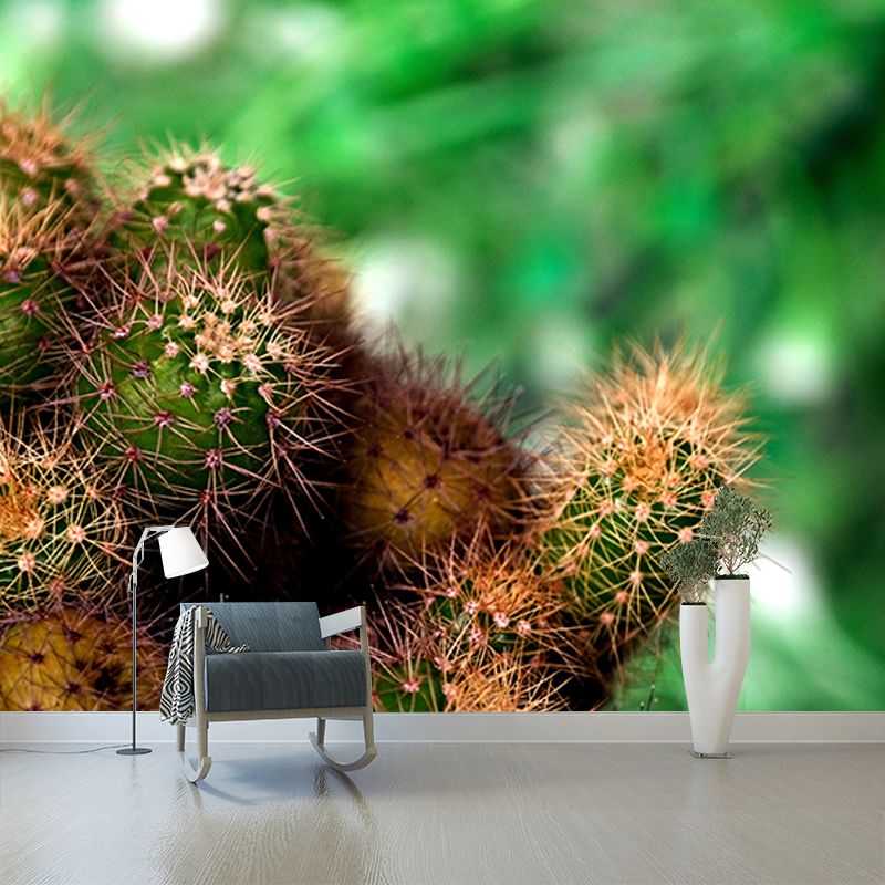 Cactus Plant Murals Wallpaper for Living Room Moisture Resistant, Custom Size Available