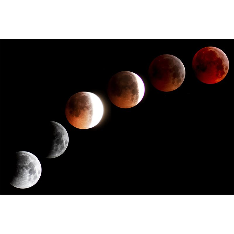 Customized Galaxy Wall Mural Mildew Resistant Wallpaper for Dining Room