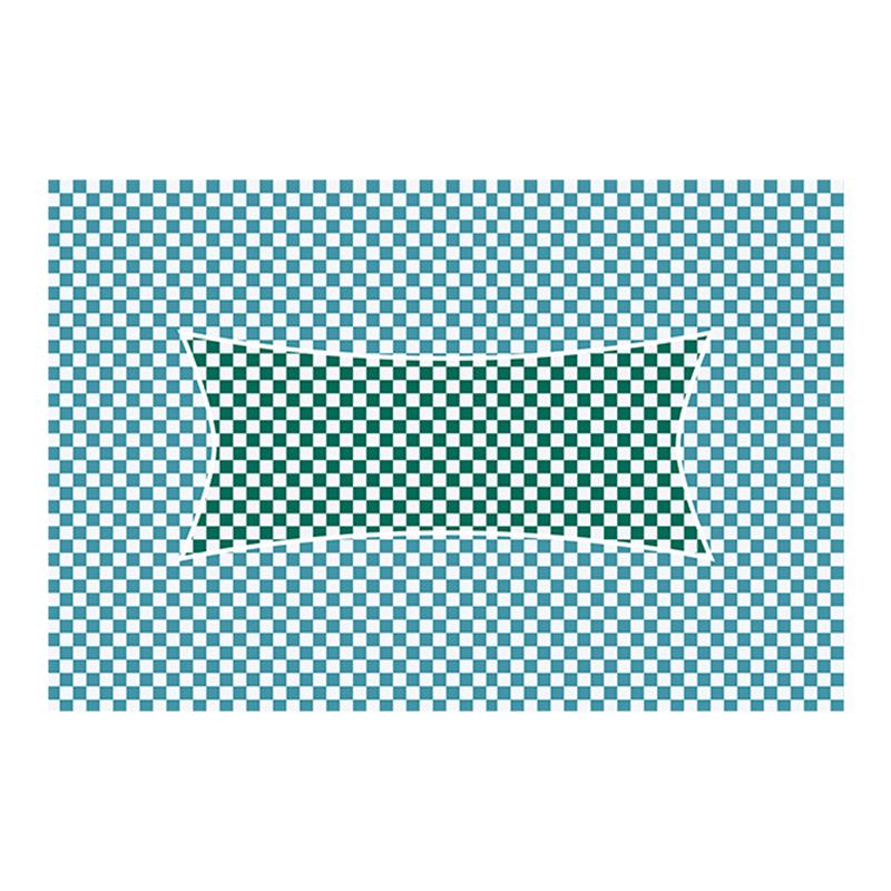 Simple Green and White Plaid Carpet Indoor Carpet Polyester Non-Slip Backing Rug