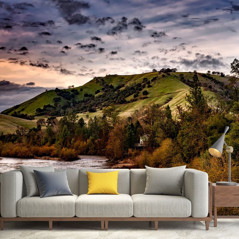 Photography Pattern Mildew Wall Mural Landscapes Horizontalt for Living Room
