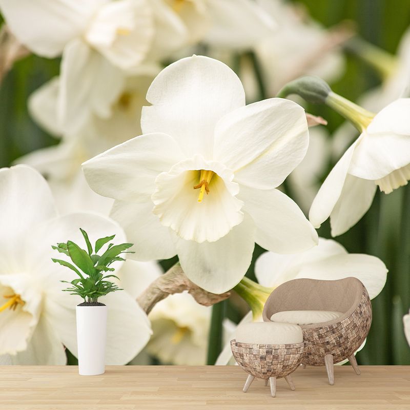 Blooming Daffodils Stain Resistant Wall Covering for Sleeping Room Decoration