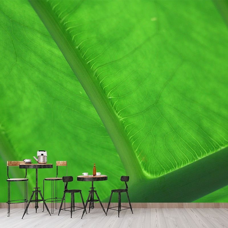 Plant Mural Wallpaper Leaf Surface Pattern for Reading Room Bedroom Decor