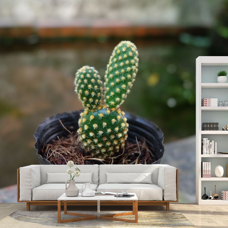 Green Cactus Mural Wallpaper Contemporary Home Decoration for Living Room