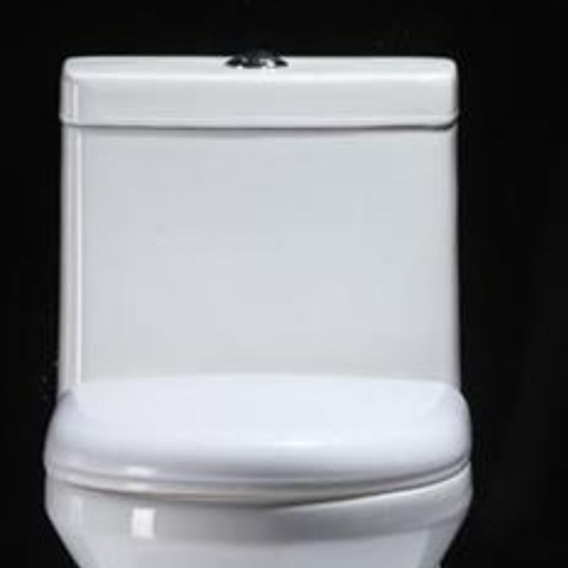 Contemporary Floor Mounted Toilet Seat Included Toilet Bowl for Bathroom