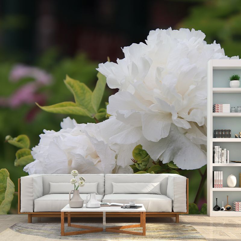 Peony Murals Contemporary Washable Girls' Bedroom Wall Decor, Personalized Size Available