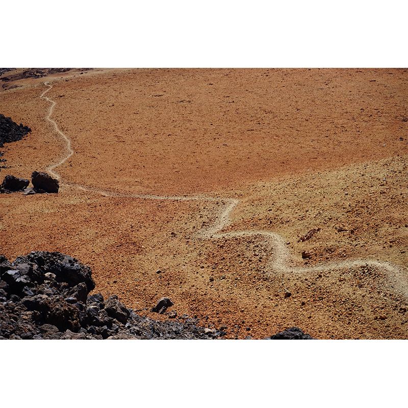 Horizontal Photography Desert Mural Environment Friendly Wallpaper for Home Decor