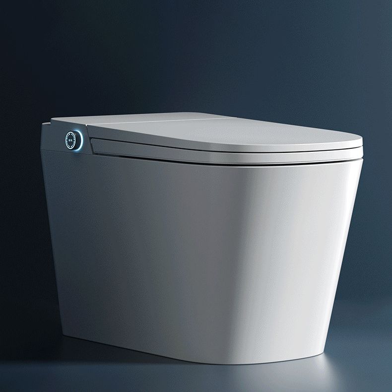 Modern Skirted Toilet Bowl Siphon Jet Toilet with Soft-Close Seat for Bathroom