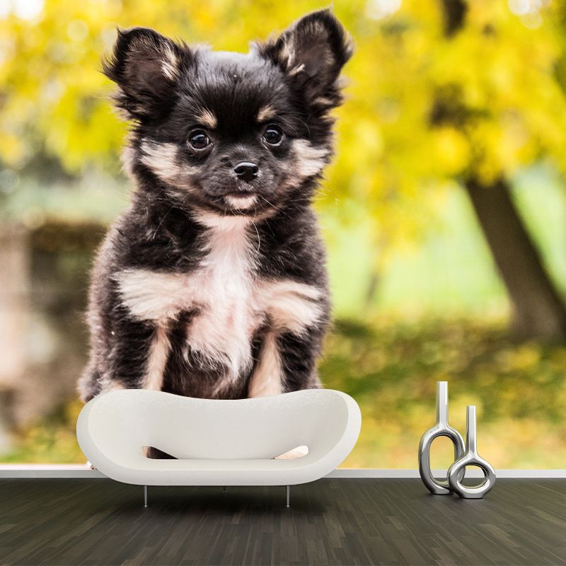 Horizontal Photography Chihuahua Mural Stain Resistant Wall Art for Living Room