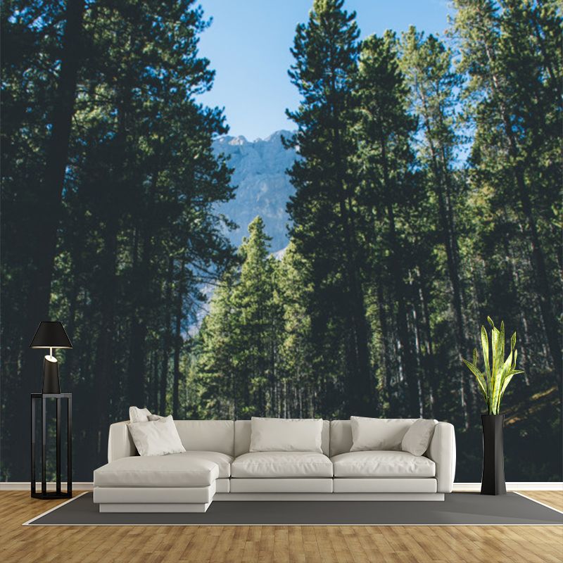 Green Roadside Pine Trees Mural Wallpaper Stain Resistant Wall Covering for Bedroom