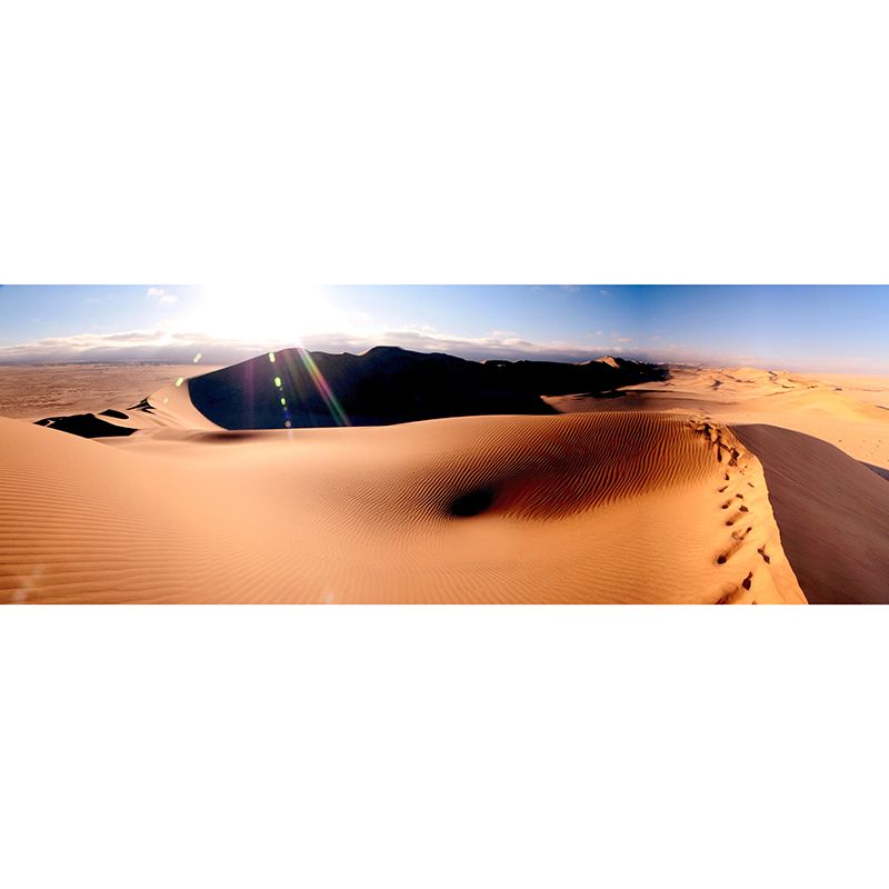 Photography Mural with Namibia's Desert Moisture Resistant Modern Style Bathroom Wall Art