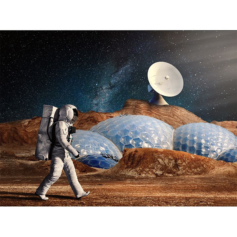 Astronaut Wall Decals Outer Space Mural for Bedroom Stain Resistant, Customer Size