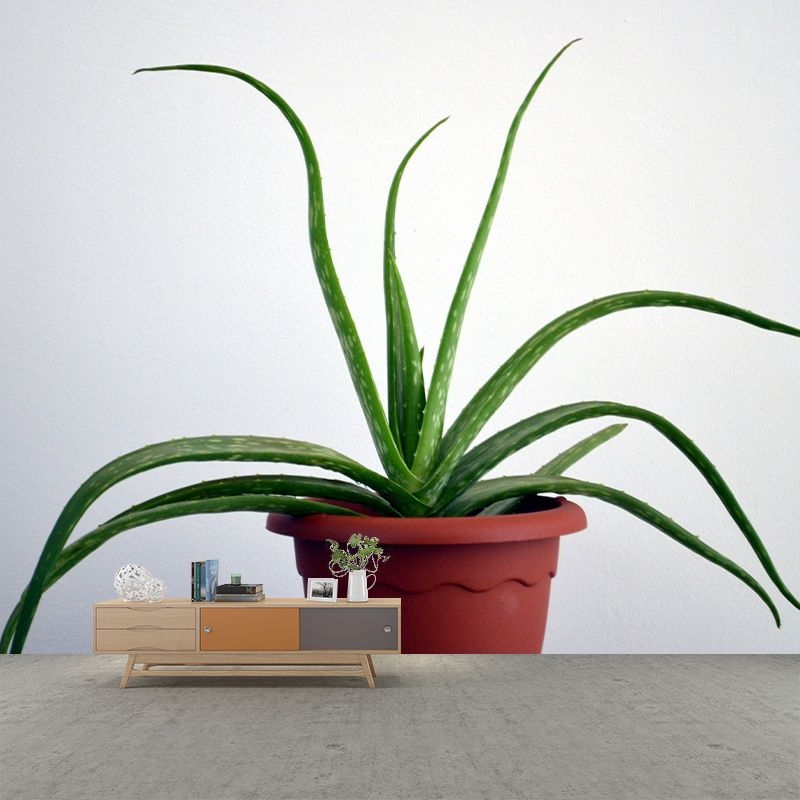 Green Plants Wall Mural Vinyl Wall Art Decor for Office Home Apartment