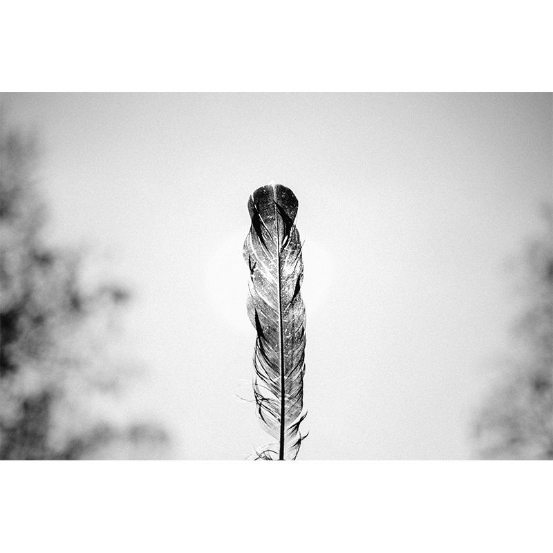 Contemporary Feather Mural Wallpaper Stain Resistant Wall Covering for Living Room