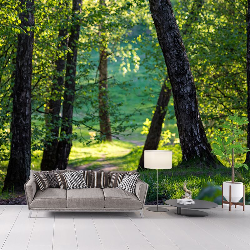 Forest View Mural Decal Modern Water Resistant Bedroom Wall Decor, Made to Measure