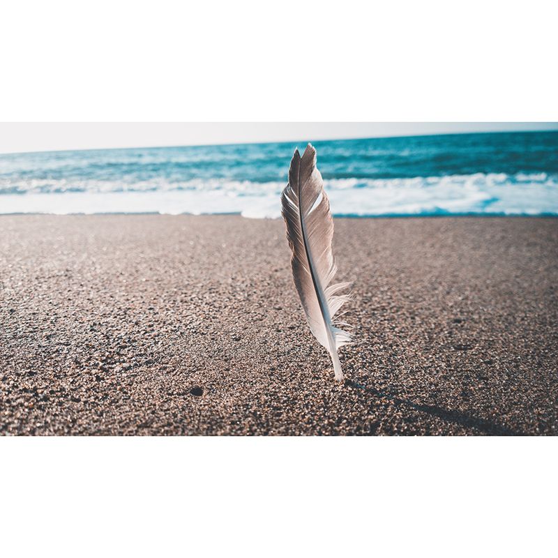 Photography Environment Friendly Mural Wallpaper Soft Feathers Bedroom Wall Mural