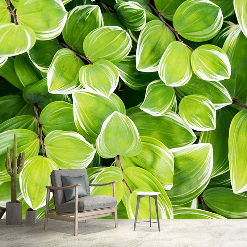Beautiful Photography Mural Wallpaper Plants Decorative Indoor Wall Mural